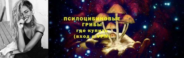 ECSTASY Сатка