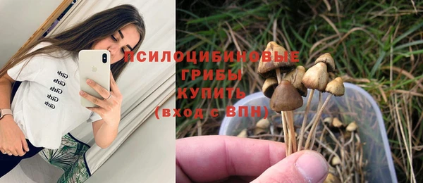 бошки Алексеевка